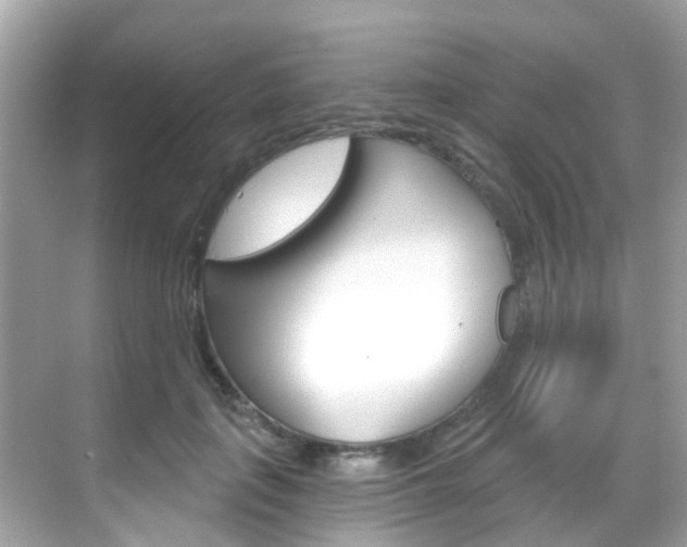 X0000068860651200605051045