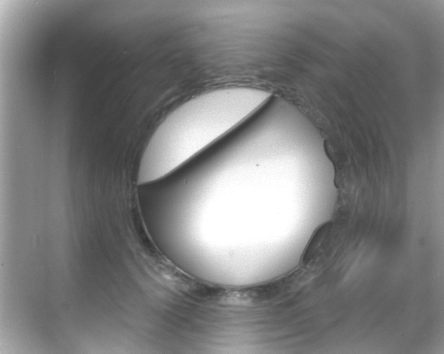 X0000068860656200605051045
