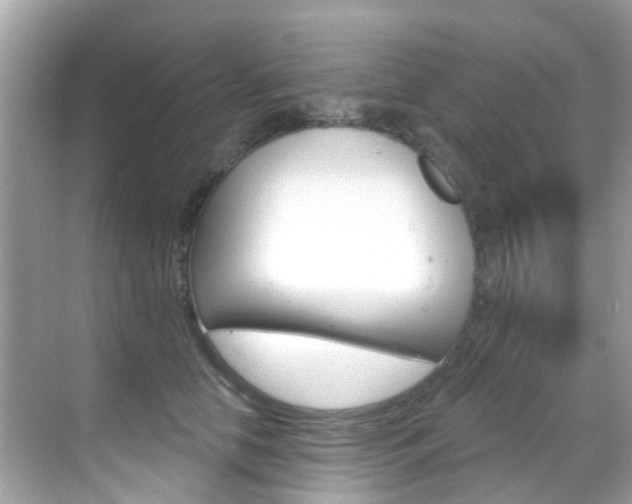 X0000068860658200605051045