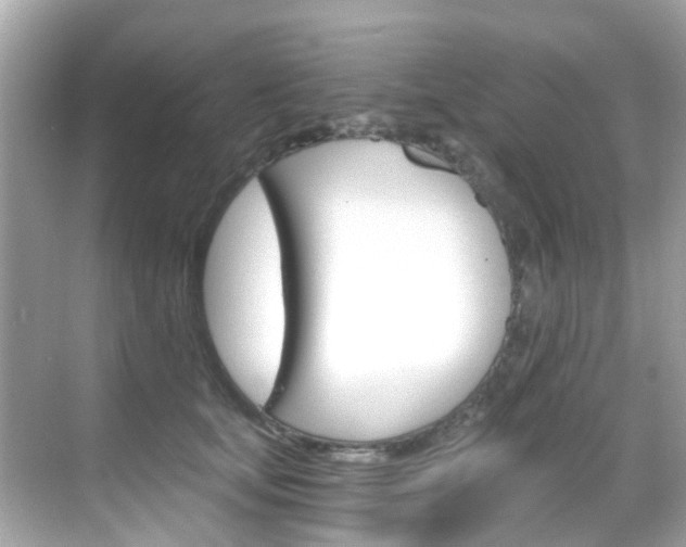 X0000068860659200605051045