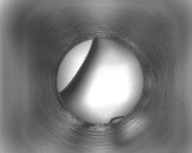 X0000068860661200605051045