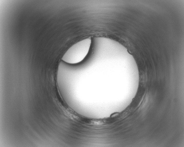 X0000068860662200605051045