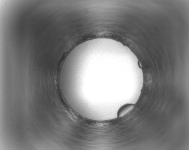 X0000068860664200605051045