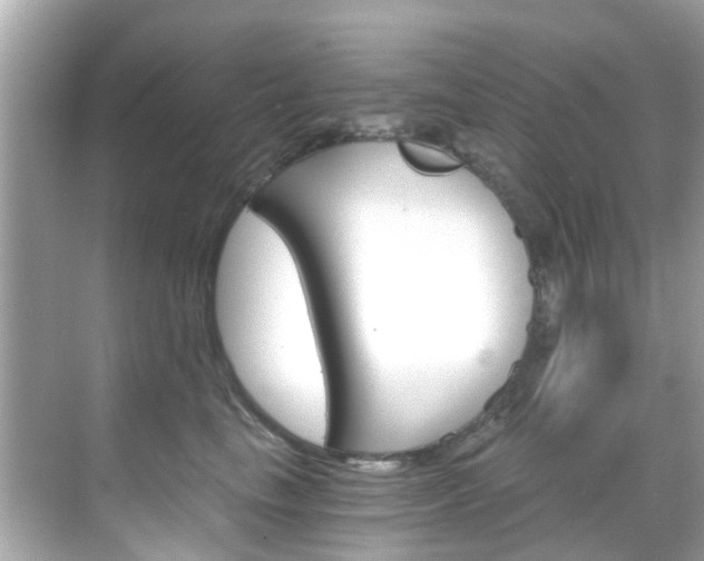 X0000068860665200605051045