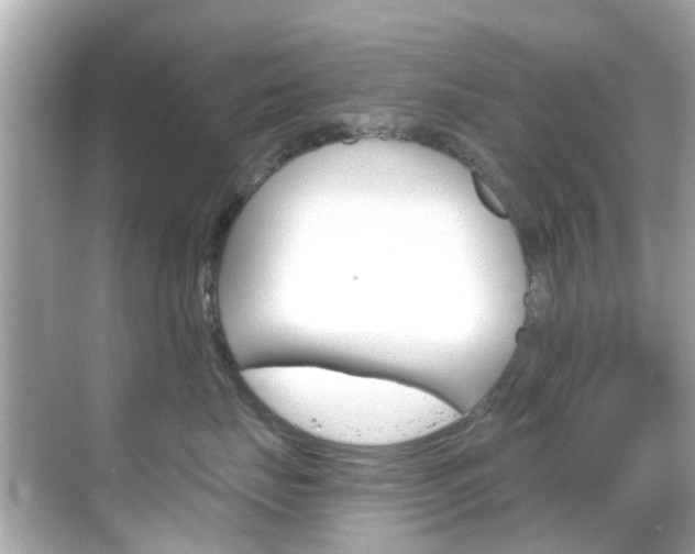 X0000068860671200605051045