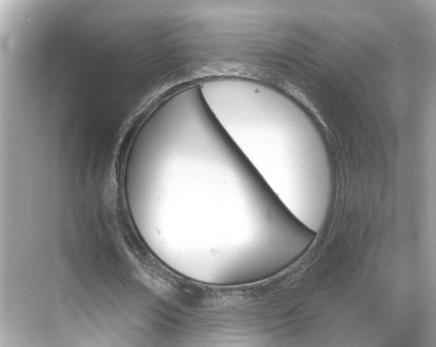 X0000068860674200605051044