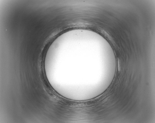 X0000068860675200605051044