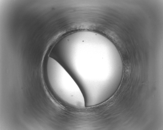 X0000068860678200605051044