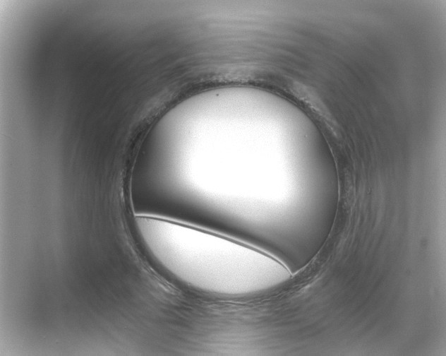 X0000068860681200605051044
