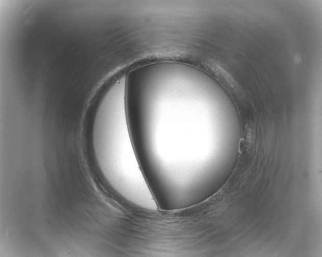 X0000068860684200605051044