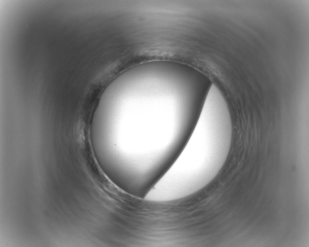 X0000068860692200605051044