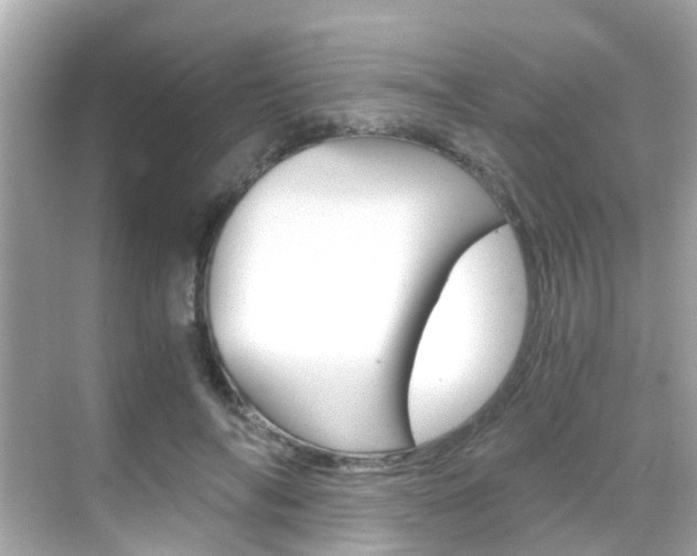 X0000068860694200605051044