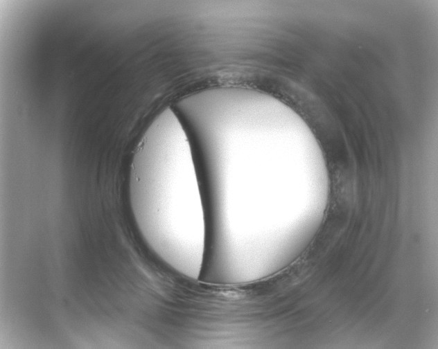X0000068860698200605051044