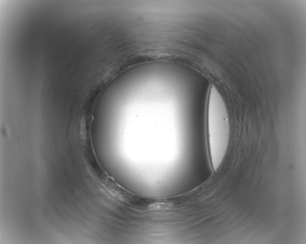 X0000068860700200605051044