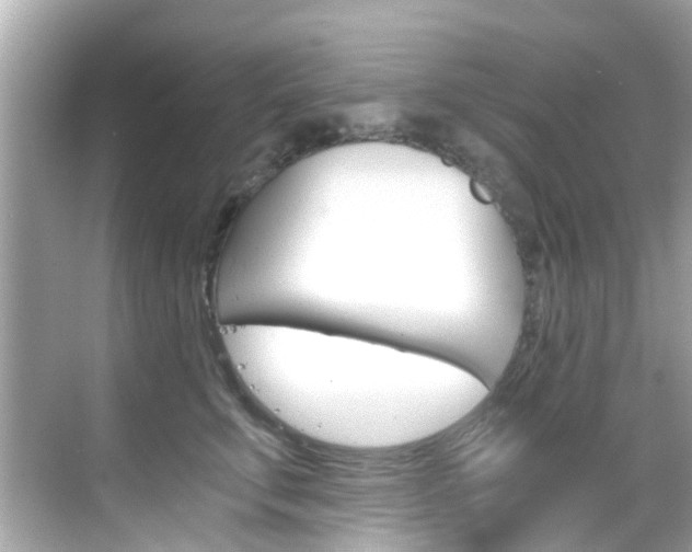 X0000068860711200605051043