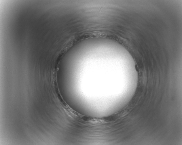 X0000068860712200605051043
