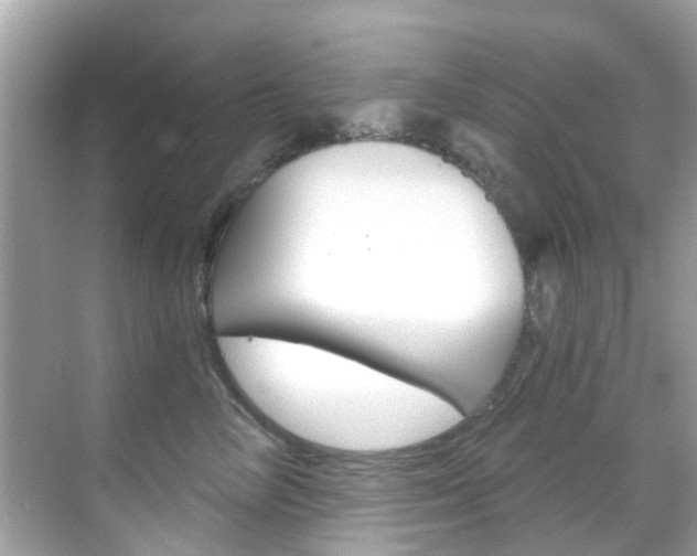 X0000068860714200605051043
