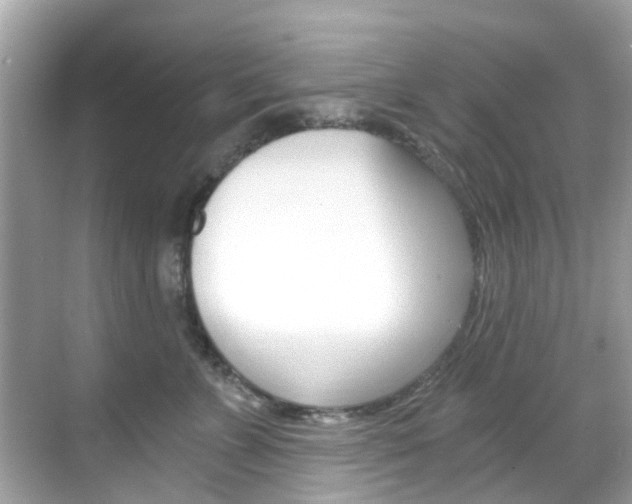 X0000068860715200605051043