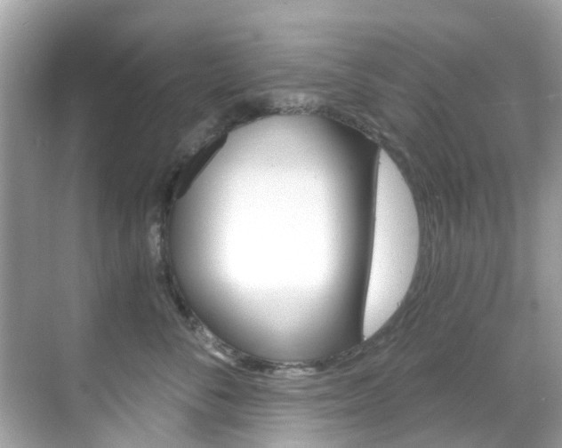 X0000068860716200605051043