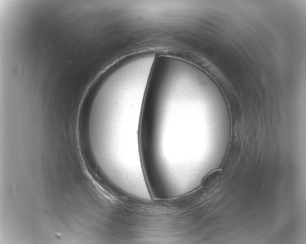 X0000068860722200605051043
