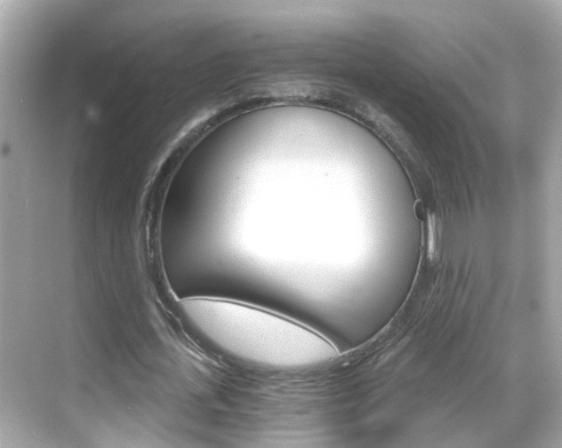 X0000068860723200605051043
