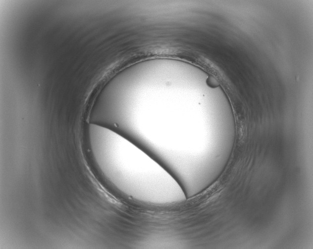 X0000068860725200605051043