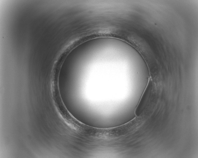 X0000068860728200605051043