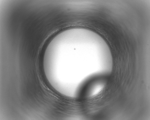 X0000068860731200605051043