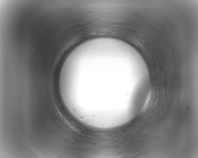 X0000068860735200605051043