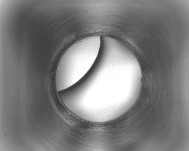 X0000068860738200605051043