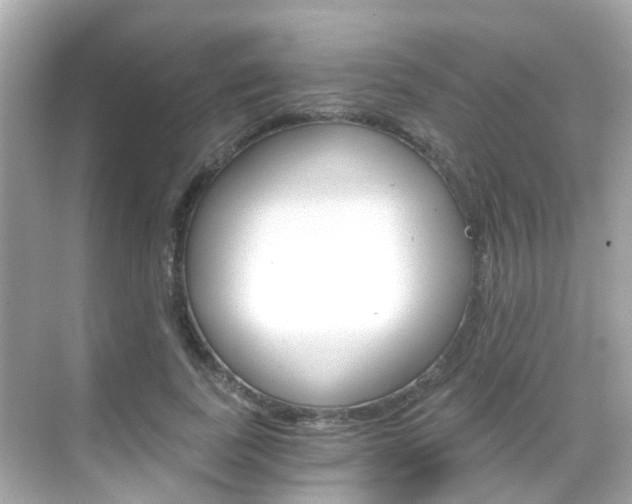 X0000068860739200605051043