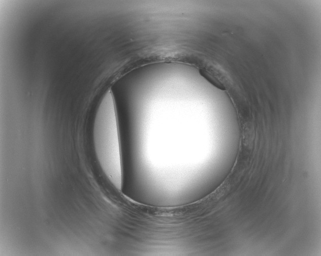 X0000068860740200605051043