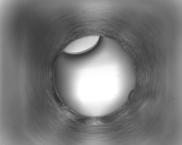 X0000068860747200605051043