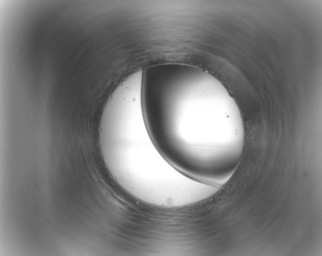 X0000068860752200605051043