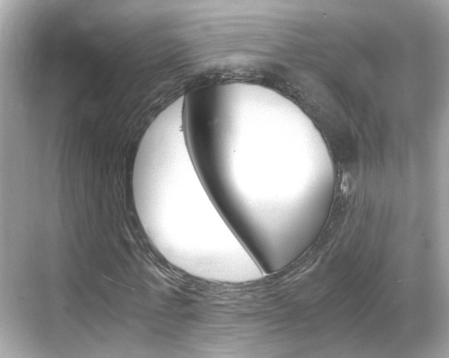 X0000068860771200605051042