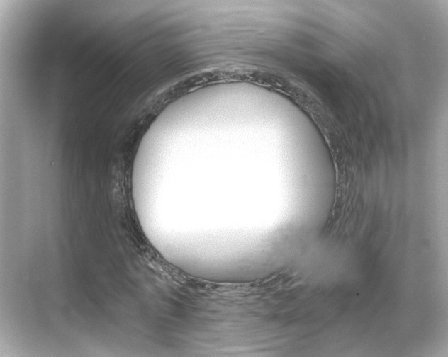 X0000068860773200605051042