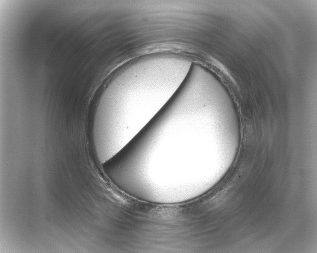 X0000068860778200605051042