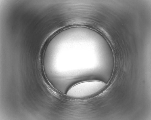 X0000068860779200605051042