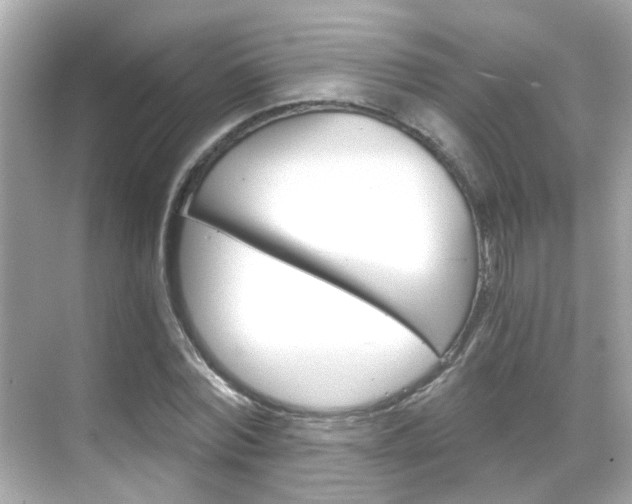 X0000068860780200605051042