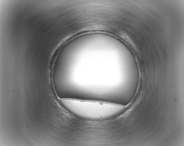 X0000068860781200605051042