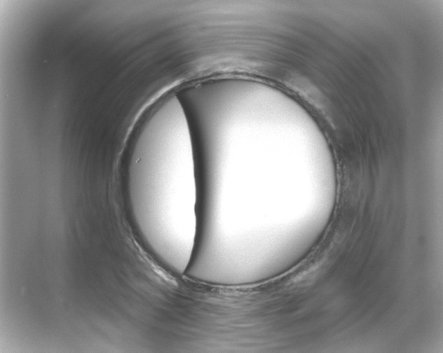 X0000068860782200605051042