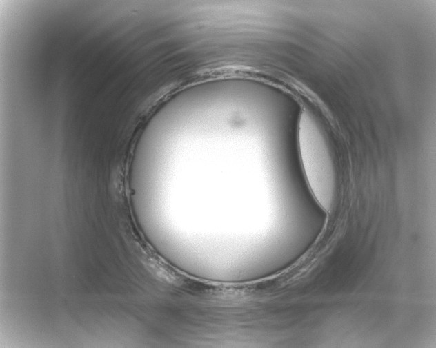 X0000068860785200605051042