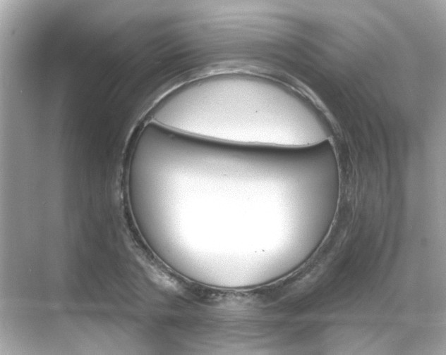 X0000068860786200605051042