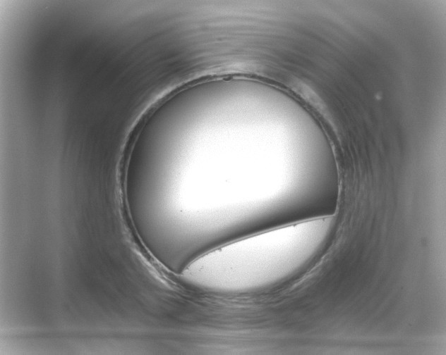 X0000068860789200605051042