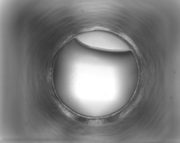 X0000068860793200605051042