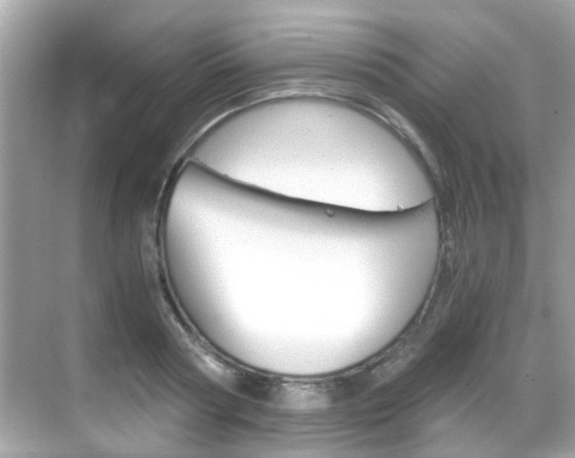 X0000068860794200605051042