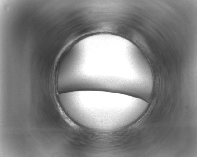 X0000068860800200605051042