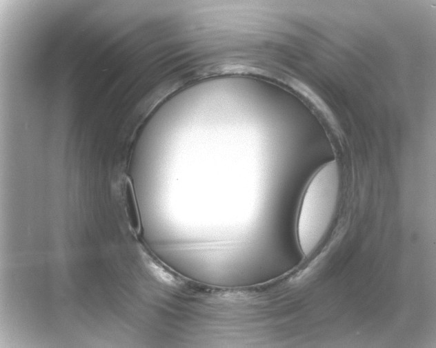 X0000068860801200605051042