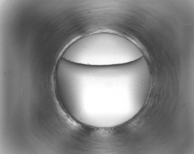 X0000068860806200605051042