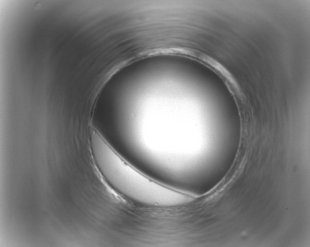 X0000068860809200605051042